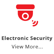 electronic-security